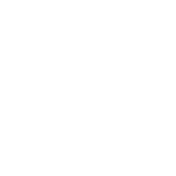 SV Bremen 10